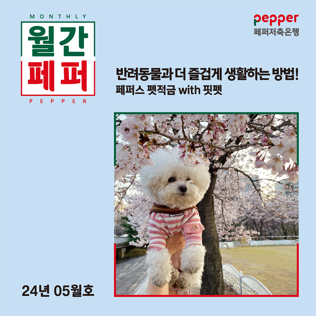 월간페퍼 반려동물과 더 즐겁게 생활하는 방법! 페퍼스 펫적금 width 핏펫 24년 5월호